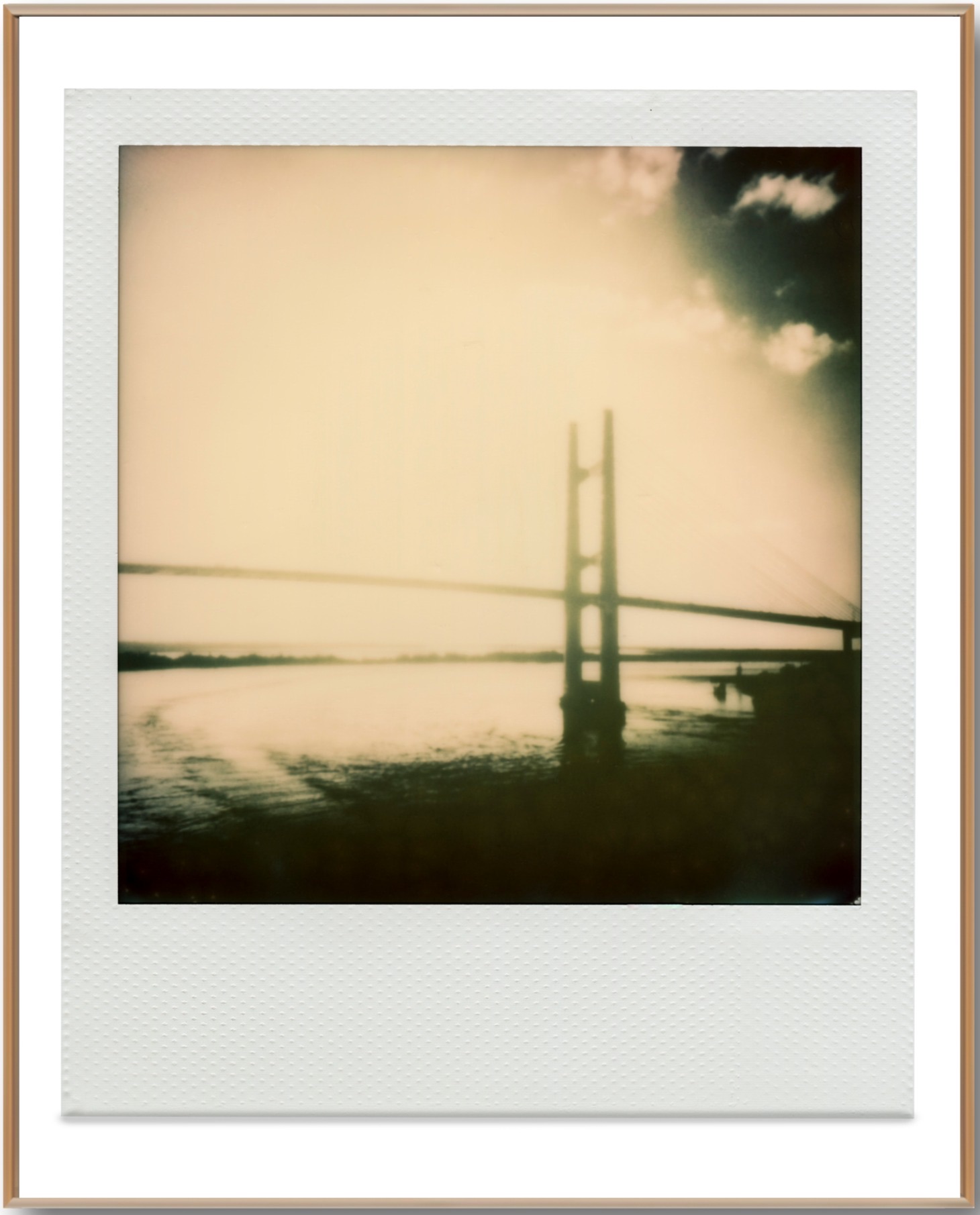 Dames Point Bridge, artwork by William Meyer