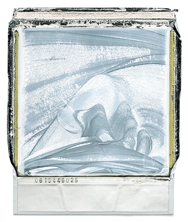 Polaroid Print 30, artwork by William Meyer
