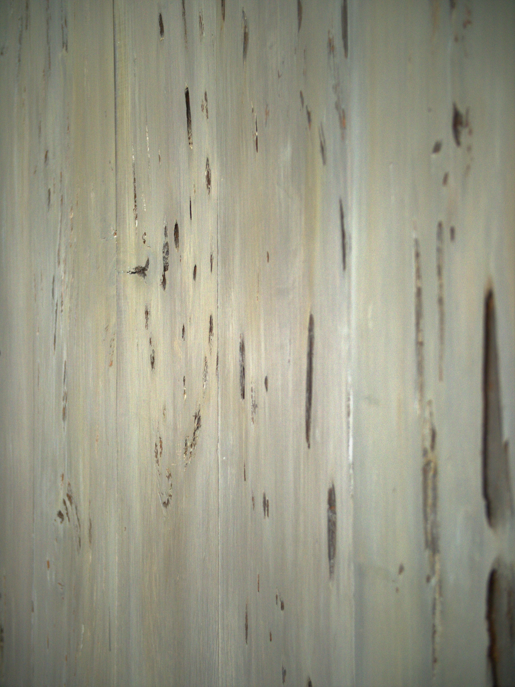 Faux Painting project example 16