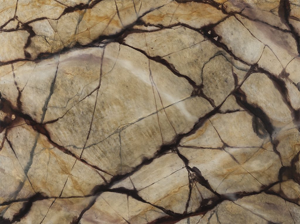 Faux Painting project example 33